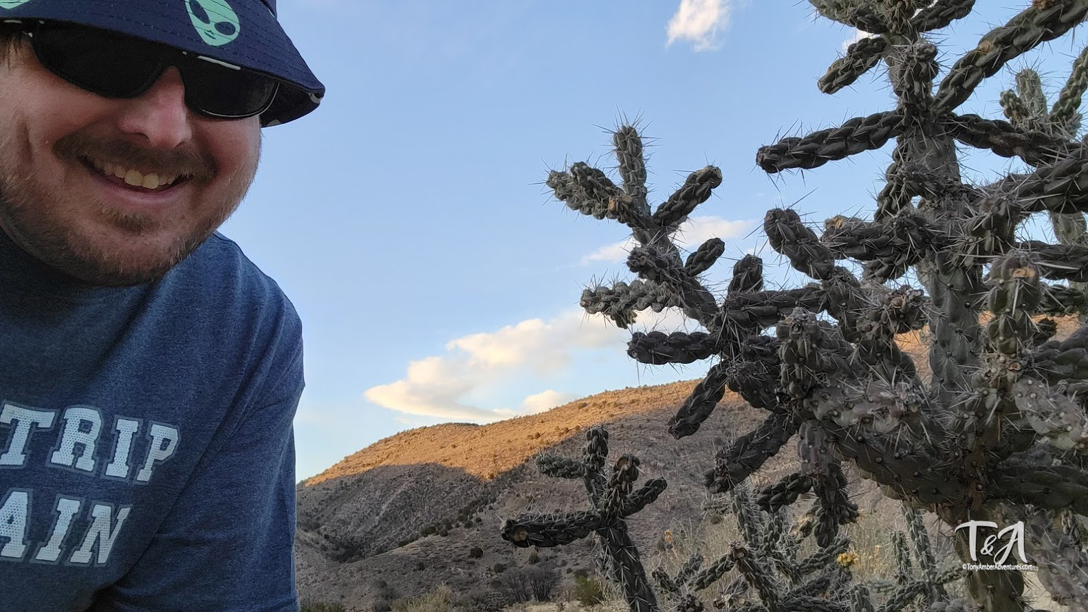 Cactus on Albuquerque New Mexico Hiking Trail