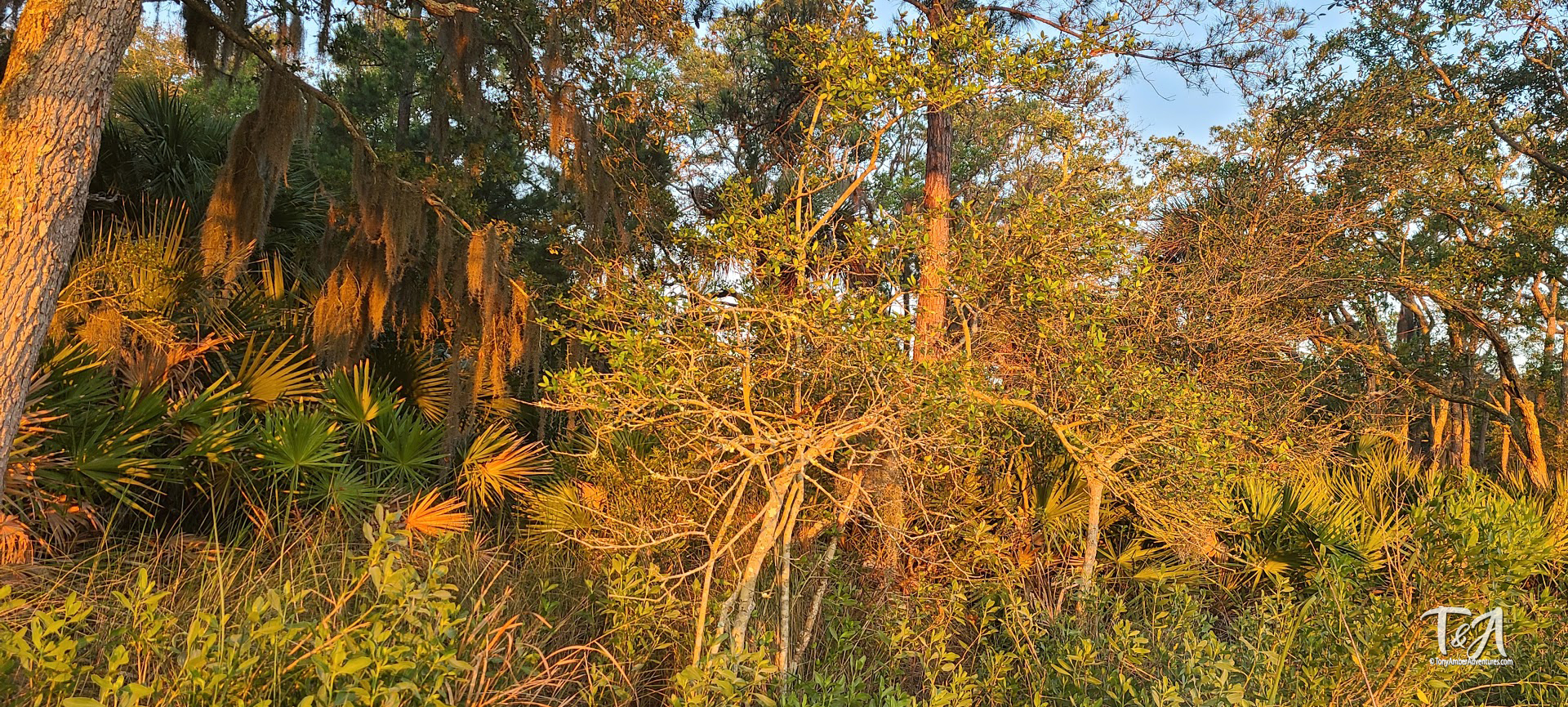 The colors of the Lowcountry are intoxicating.